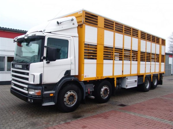 Scania - 124G 400 Schweinetransporter